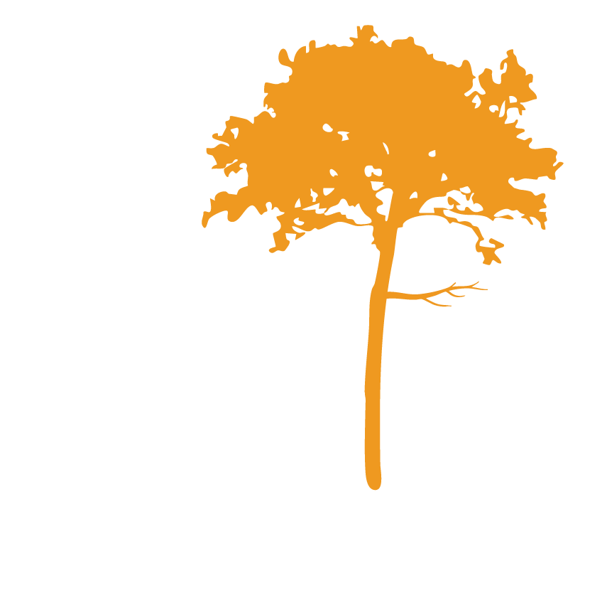 Martins Créations