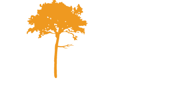 Martins Creations