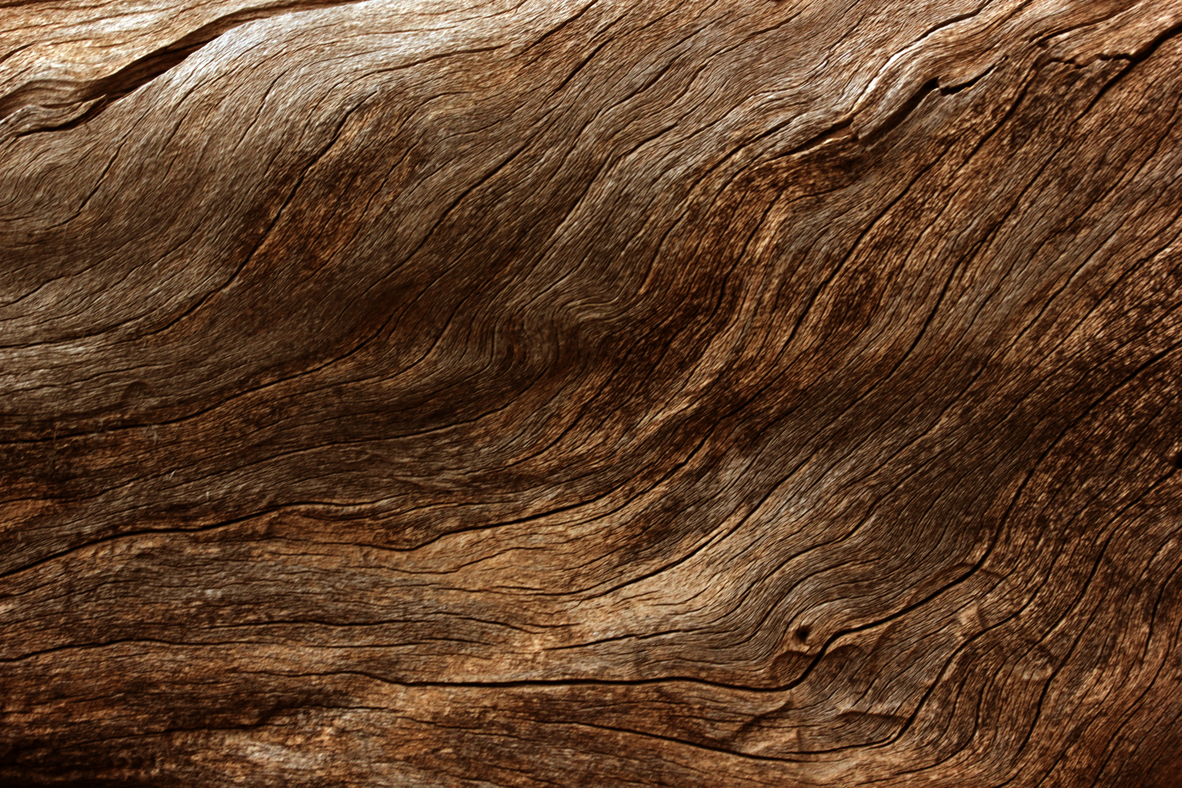 Texture naturelle du bois flotté